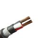 Polycab 4mm 2 Core Copper Armoured Cable